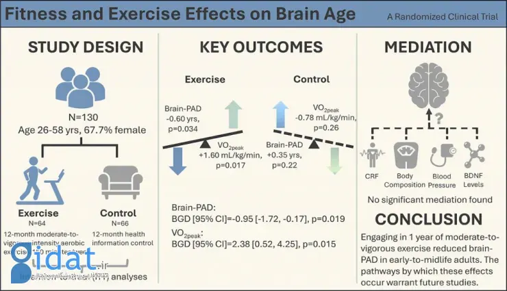 تأثیر ورزش هوازی بر سن بیولوژیکی مغز