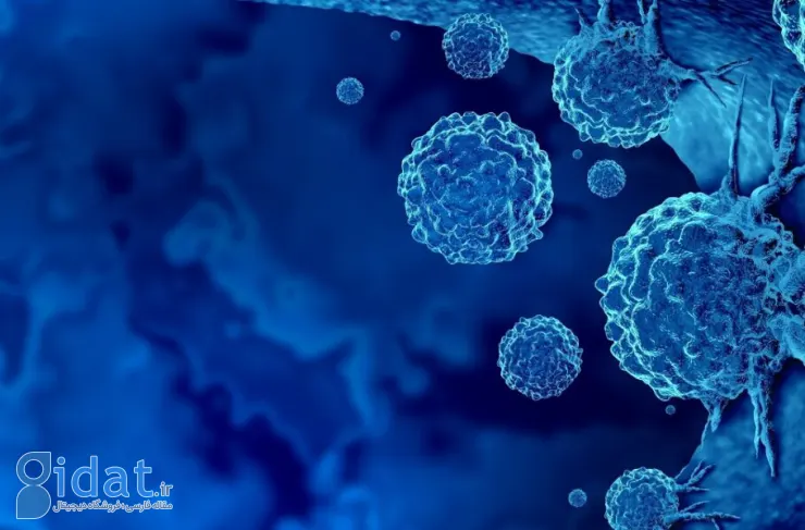 کشف مهم محققان؛ درمانی که سلول‌های سرطانی را با کمترین عوارض جانبی از بین می‌برد