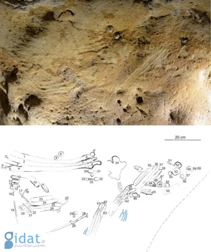 قدیمی‌ترین نقاشی‌های مربوط به نئاندرتال پس از 57 هزار سال در یک غار کشف شد