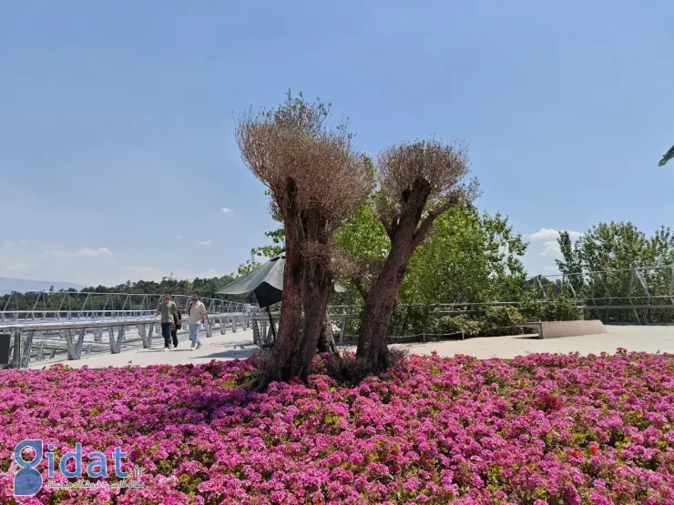 بررسی ردمی توربو ۳ هری پاتر؛ جادویی برخاسته از هاگوارتز