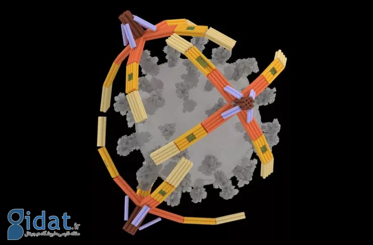 این نانوربات چهار انگشتی با محصور کردن ویروس از عفونت سلول ها جلوگیری می کند