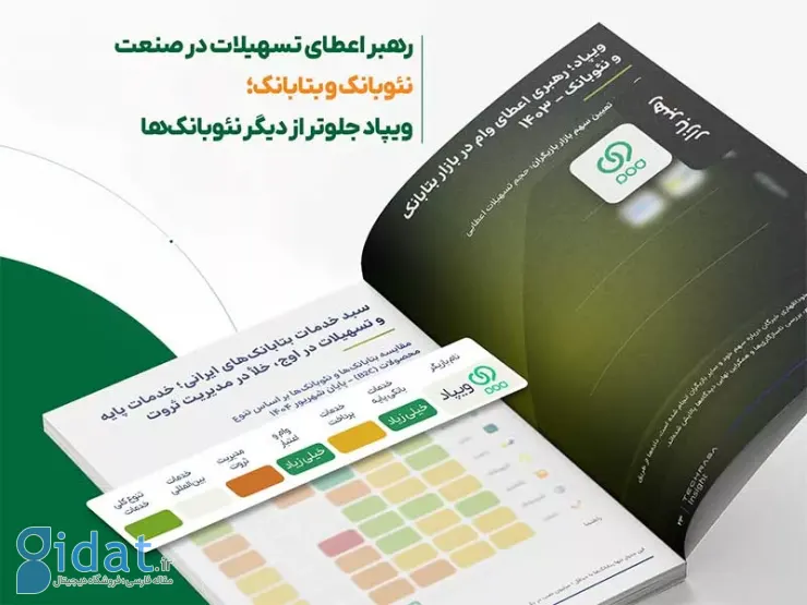 Vipad holds the leading position in granting facilities in the neobank market