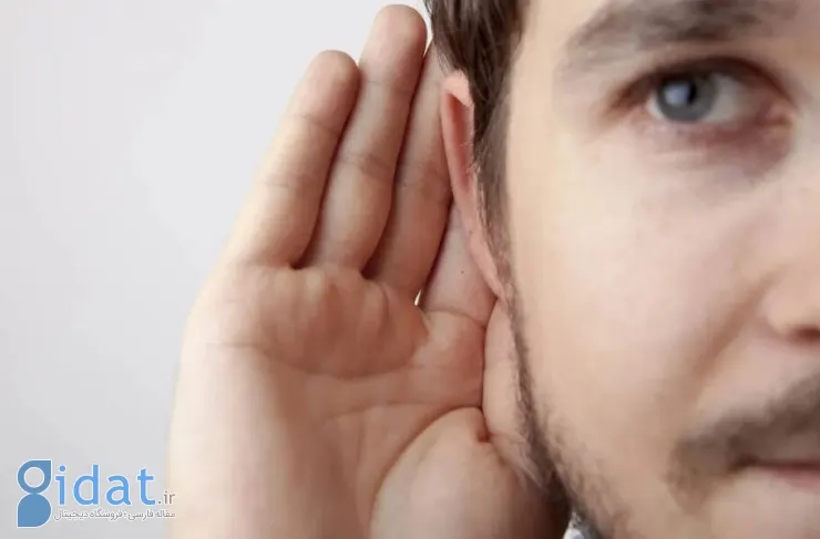 محققان: گوش ها و چشمان شما می توانند با یکدیگر صحبت کنند