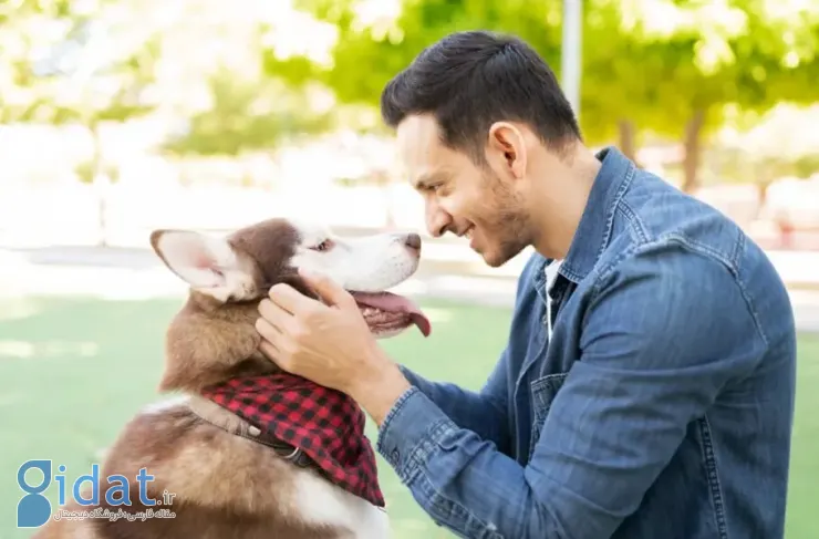 تماس چشمی سگ و انسان باعث افزایش ترشح هورمون عشق می شود