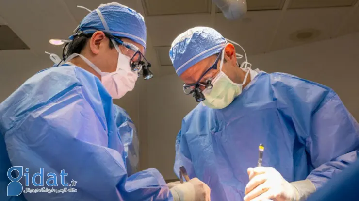 برای اولین بار در آمریکا پیوند دو کلیه با جراحی رباتیک انجام شد