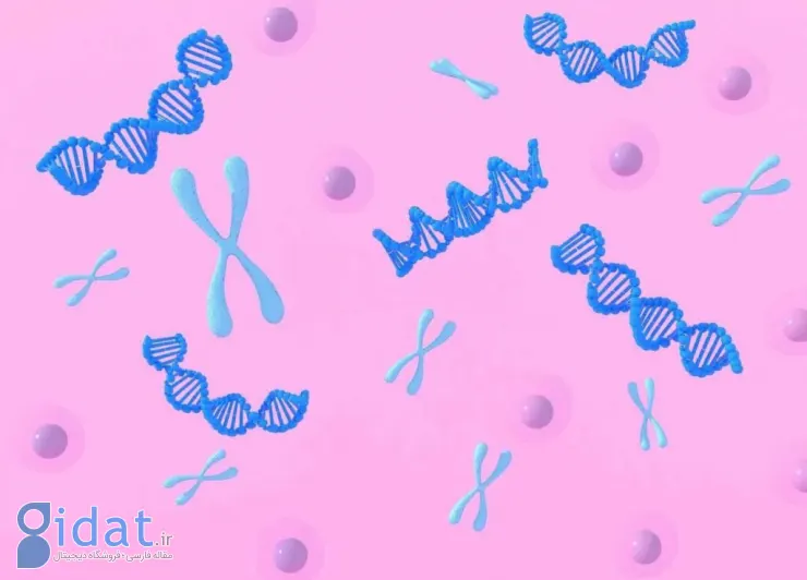 محققان: این دو ژن‌ باعث می‌شود بیماران سرطانی به شیمی درمانی پاسخ مثبت ندهند
