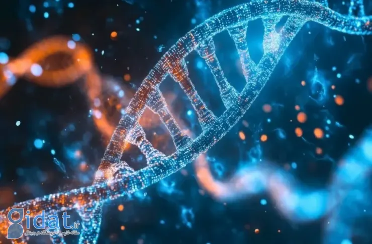 دانشمندان کشف کردند: صدها ژن که در مغز مردان و زنان عملکرد متفاوتی دارند