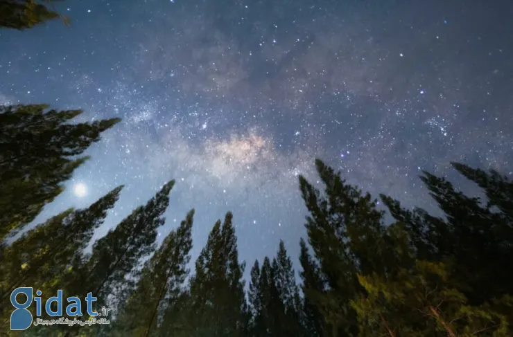 دانشمندان هشدار می دهند: آلودگی نوری ستاره ها را در دو دهه دیگر غیرقابل تشخیص می کند