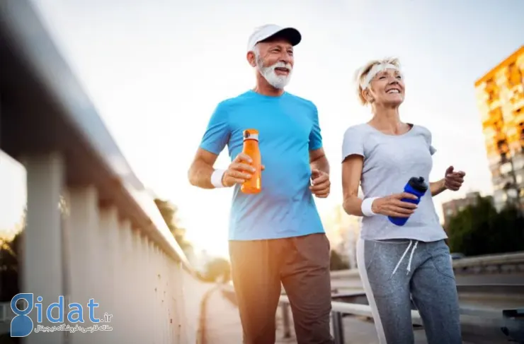  تحقیق جدید: ژنتیک می‌تواند تا ۵۰ درصد بر طول عمر تأثیر بگذارد