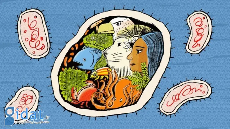 حیات روی زمین و مریخ