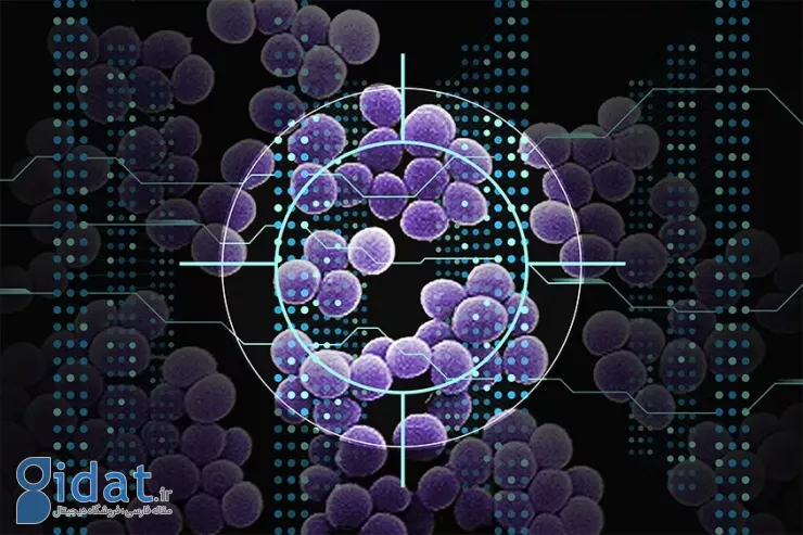 کشف محققان با هوش مصنوعی؛ ترکیباتی که باکتری‌های مقاوم به دارو را از بین می‌برند