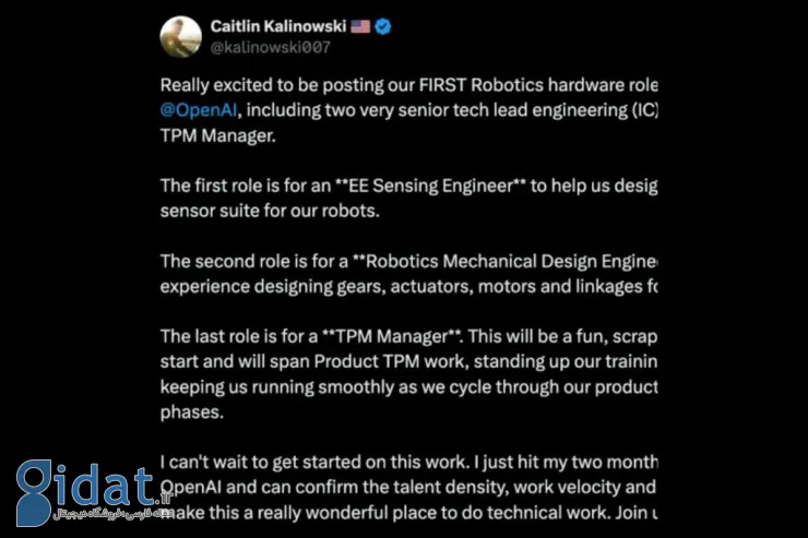 ساخت ربات توسط Open AI