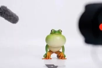 OpenAI ویژگی ساخت آواتار شخصی را به Sora اضافه کرد [تماشا کنید]