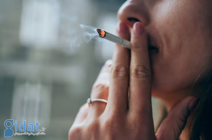 مطالعه جدید: 40 درصد از بیماران به دلیل عوامل قابل اجتناب مانند سیگار کشیدن به سرطان مبتلا می شوند