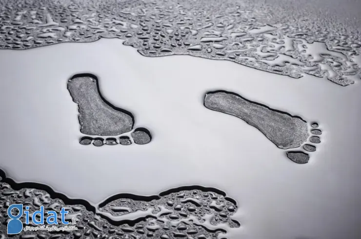 ردپای آب چیست