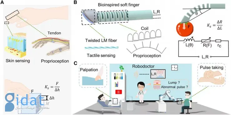 این انگشت رباتیک ممکن است در آینده معاینات پزشکی انجام دهد