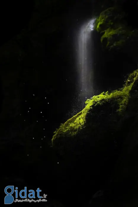 مسابقه عکاسی اقیانوسیه ۲۰۲۵