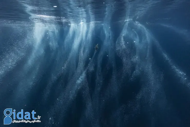 مسابقه عکاسی اقیانوسیه ۲۰۲۵