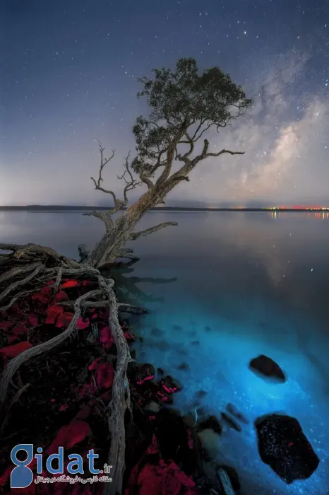 مسابقه عکاسی اقیانوسیه ۲۰۲۵