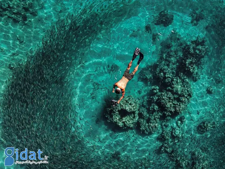 مسابقه عکاسی اقیانوسیه ۲۰۲۵