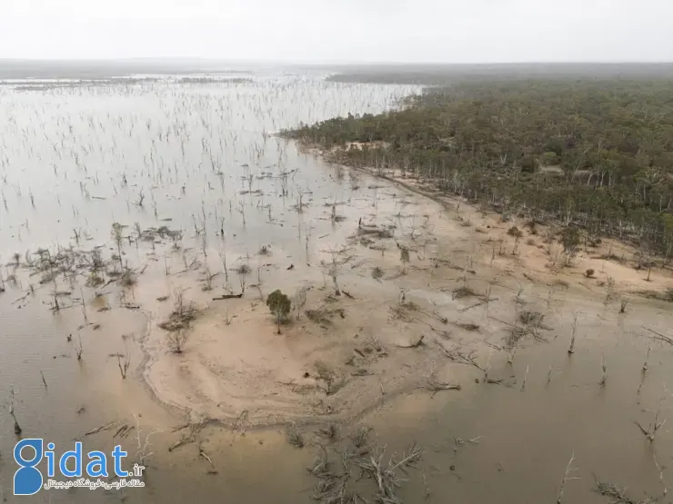 مسابقه عکاسی اقیانوسیه ۲۰۲۵