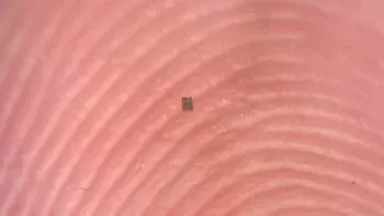 کوچکتر از یک دانه نمک؛ دانشمندان کوچکترین ربات قابل برنامه ریزی جهان را ساختند [تماشا کنید]