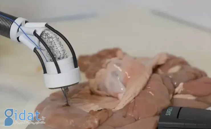 دانشمندان یک چاپگر سه بعدی برای ترمیم بافت های آسیب دیده ساخته اند [ساعت]