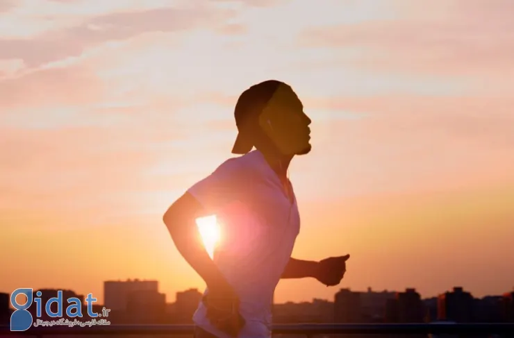 مطالعه جدید: 30 دقیقه ورزش می تواند گلبول های سفید قاتل سرطان را افزایش دهد