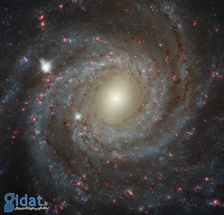 کهکشان مارپیچی NGC 3344 از نمای روبه‌رو