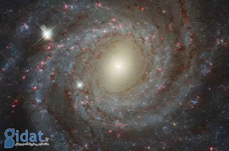 تصویر روز ناسا: کهکشان مارپیچی NGC 3344 از نمای روبرو