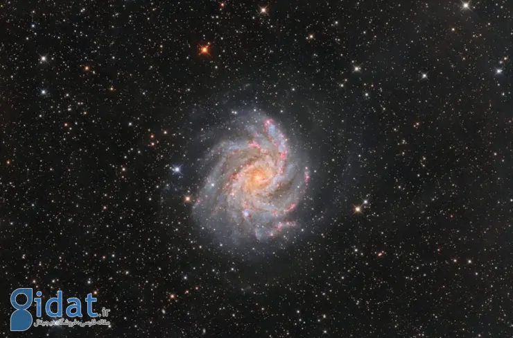 تصویر روز ناسا: روبروی NGC 6946
