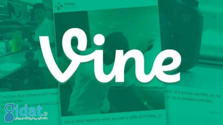 ایلان ماسک از بازگشت پلتفرم Vine در قالب یک سرویس هوش مصنوعی خبر داد