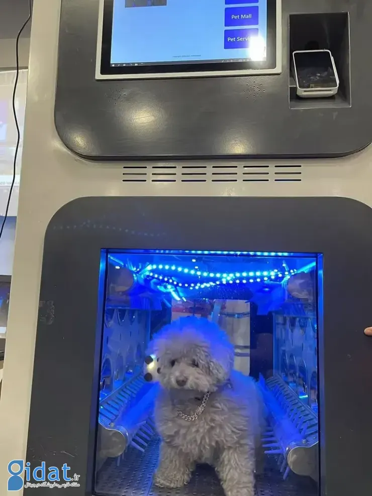 فناوری‌های عجیب ۲۰۲۵