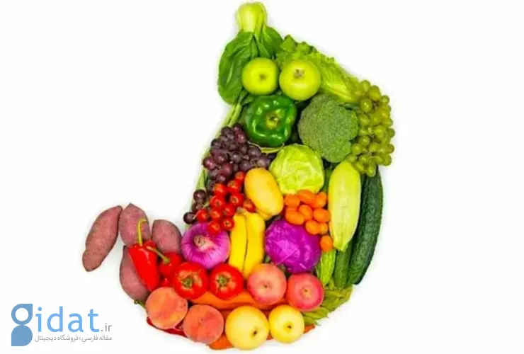 مواد غذایی مناسب برای بهبود سندروم دامپینگ