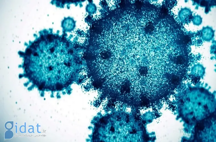 محققان ساختارهای عجیبی را در خون بیماران مبتلا به ویروس کرونا شناسایی کردند