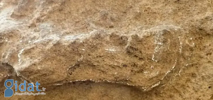 قدیمی ترین ردپای انسان ها در آفریقای جنوبی کشف شد