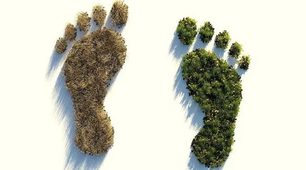 سفر با هواپیما و تأثیرات مثبت و منفی آن بر محیط‌زیست