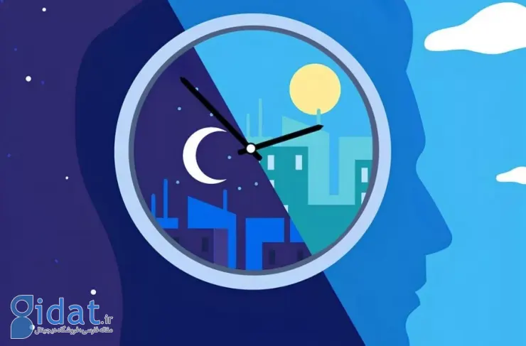 در گذشته، انسان ها دو بار در شب می خوابیدند، عادتی که با زندگی مدرن تغییر کرد