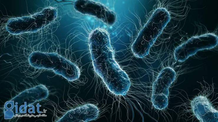 کشف جدید دنیای پزشکی؛ آنتی بیوتیک‌هایی که با تغییر شکل، باکتری‌های مقاوم را فریب می‌دهند