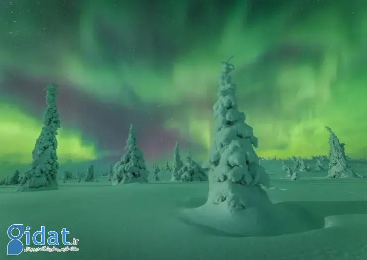 مسابقه عکاسی شفق قطبی ۲۰۲۵