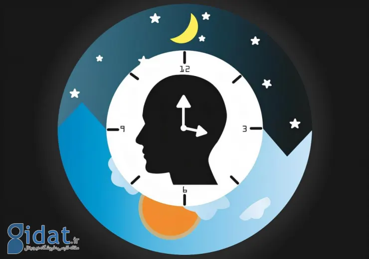 انسان‌ها در گذشته هر شب دو بار می‌خوابیدند؛ عادتی که با زندگی مدرن تغییر کرد