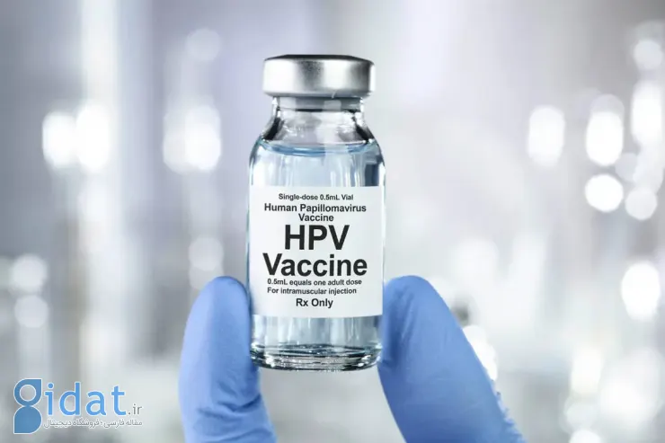 هرآنچه باید درباره اچ‌پی‌وی (HPV) بدانید