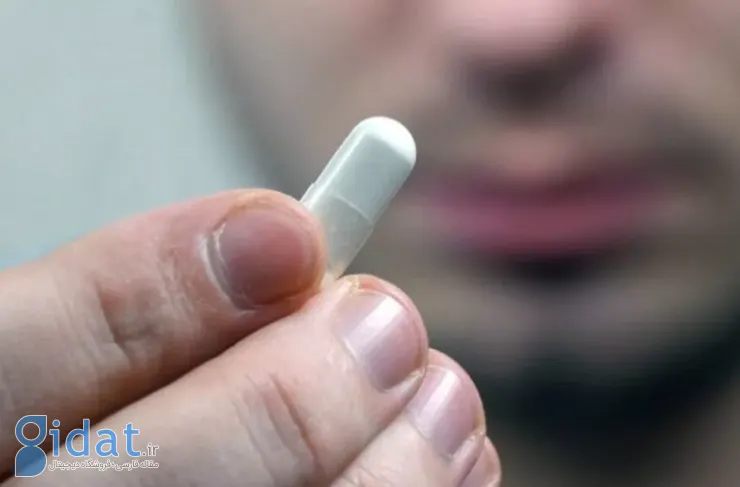 درمان ابولا با قرص؛ آزمایشات روی میمون ها نتایج امیدوارکننده ای را نشان می دهد