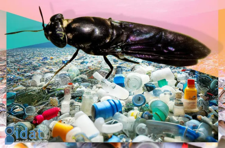 پروژه مختلف انجمن شیمی آمریکا: ساخت پلاستیک زیست تخریب پذیر از مگس های مرده