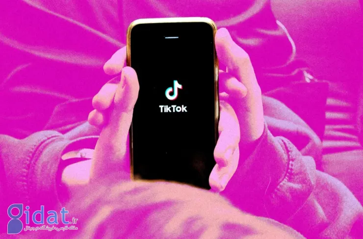 ظاهراً دادگاه عالی ایالات متحده ممنوعیت TikTok را متوقف نخواهد کرد