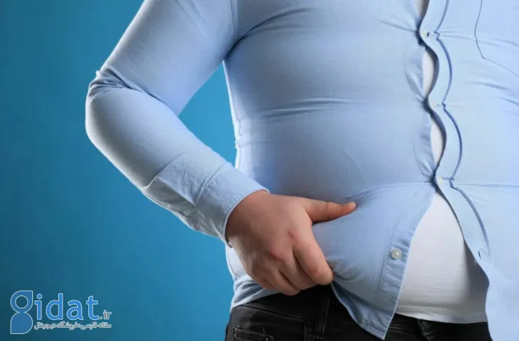 سازمان بهداشت جهانی: تعداد افراد چاق در جهان از مرز یک میلیارد نفر گذشت