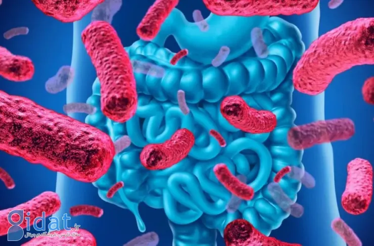 تحقیقات جدید: باکتری‌های روده کودکان می‌توانند بر سلامت روان آنها در آینده تأثیر بگذارند