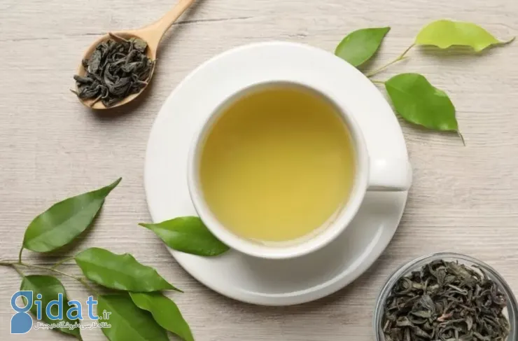 تحقیقات جدید: چای سبز و نوعی ویتامین ممکن است از مغز در برابر آلزایمر محافظت کنند