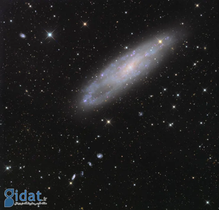 NGC 247 به همراه کهکشان مارپیچی براق NGC 253، بخشی از گروه کهکشان‌های مجسمه‌ساز است.