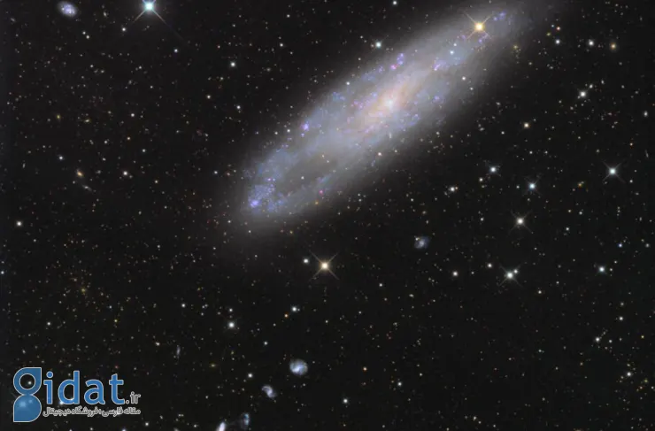 تصویر روز ناسا: NGC 247 و دوستانش